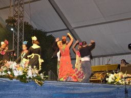 Festival de Folkore en Mula